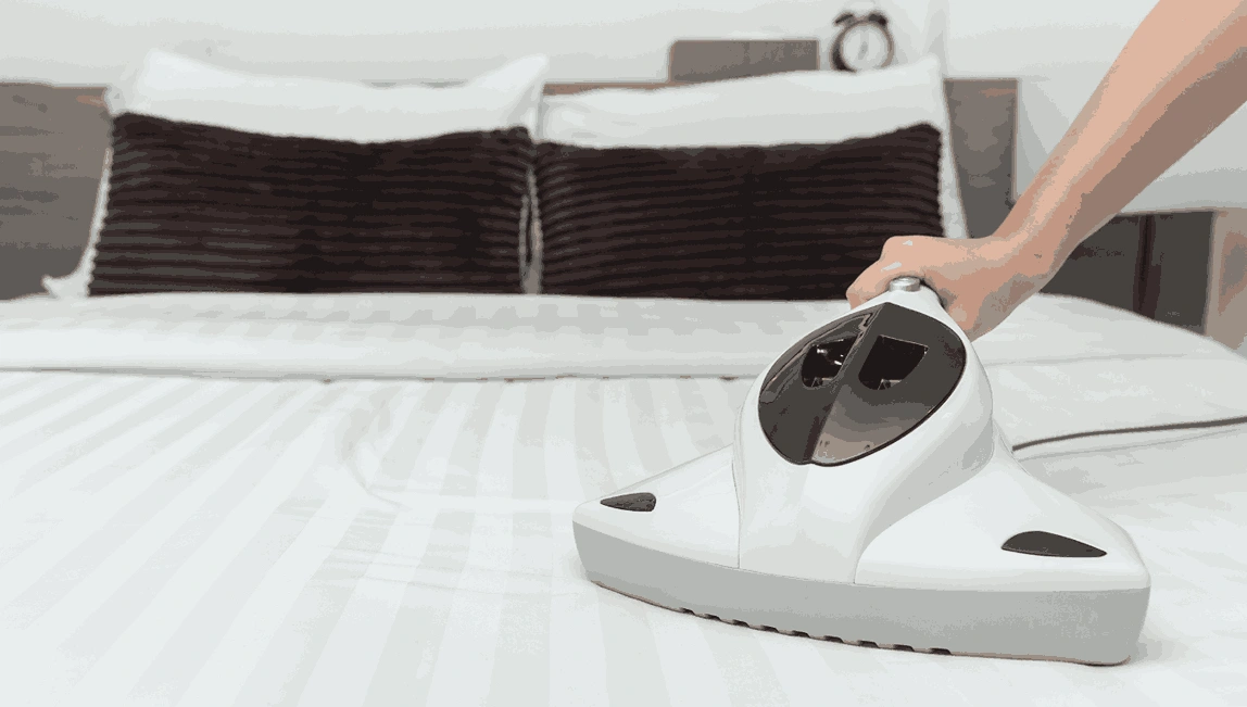Professional Mattress Cleaning Alphington